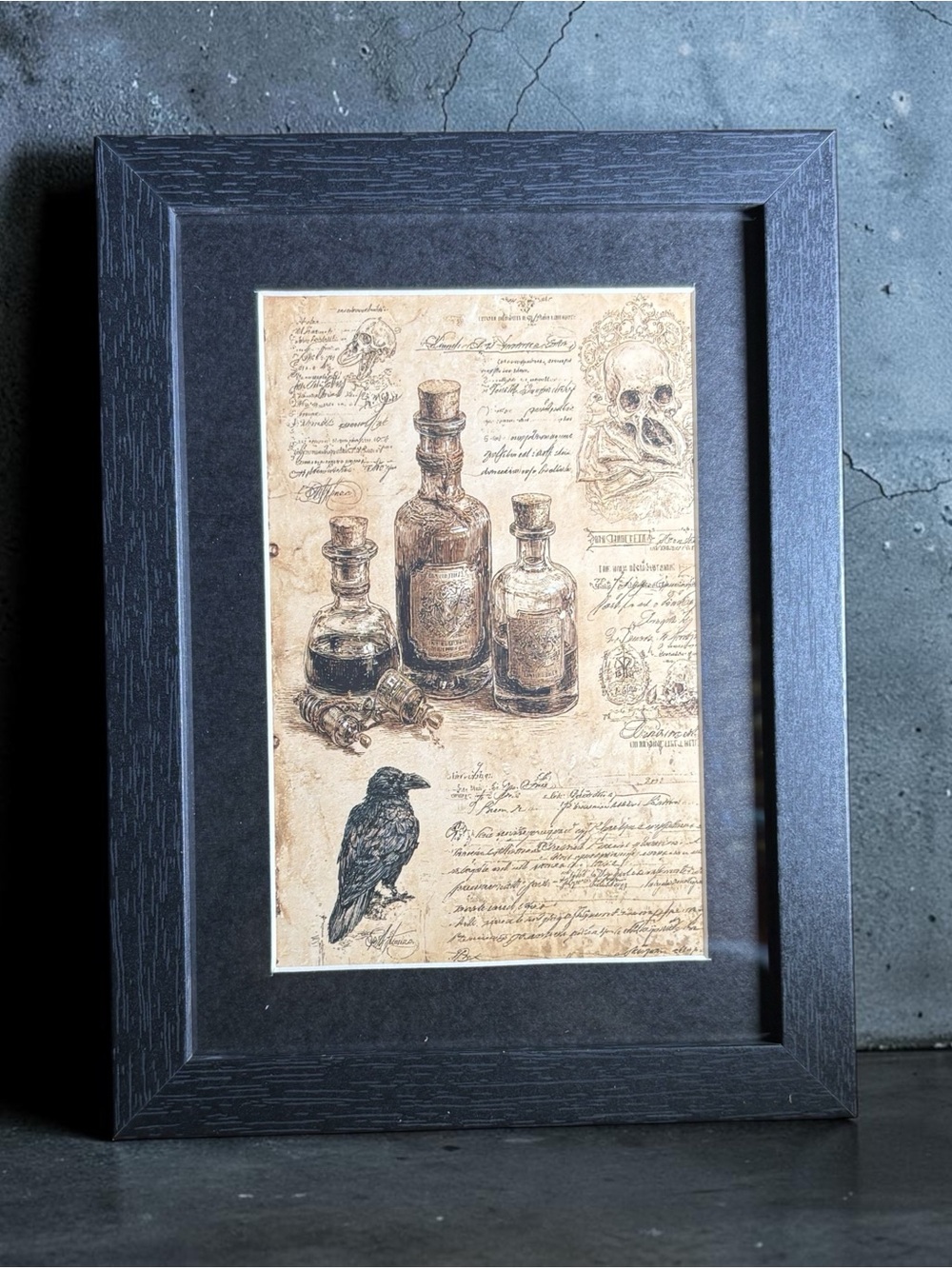 Gothic Apothecary Raven Skull Framed Wall Art 5x7